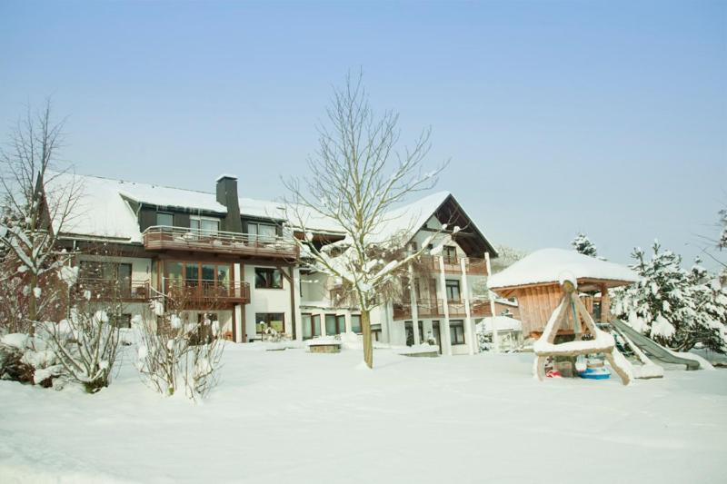 Haus Alexandra Lägenhet Willingen  Exteriör bild