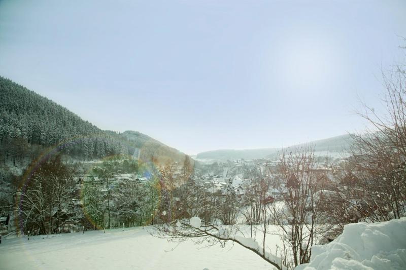 Haus Alexandra Lägenhet Willingen  Exteriör bild