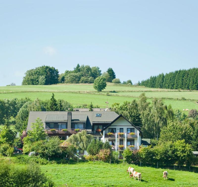 Haus Alexandra Lägenhet Willingen  Exteriör bild